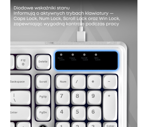 Ajazz AF98 biała - 1536380 - zdjęcie 8